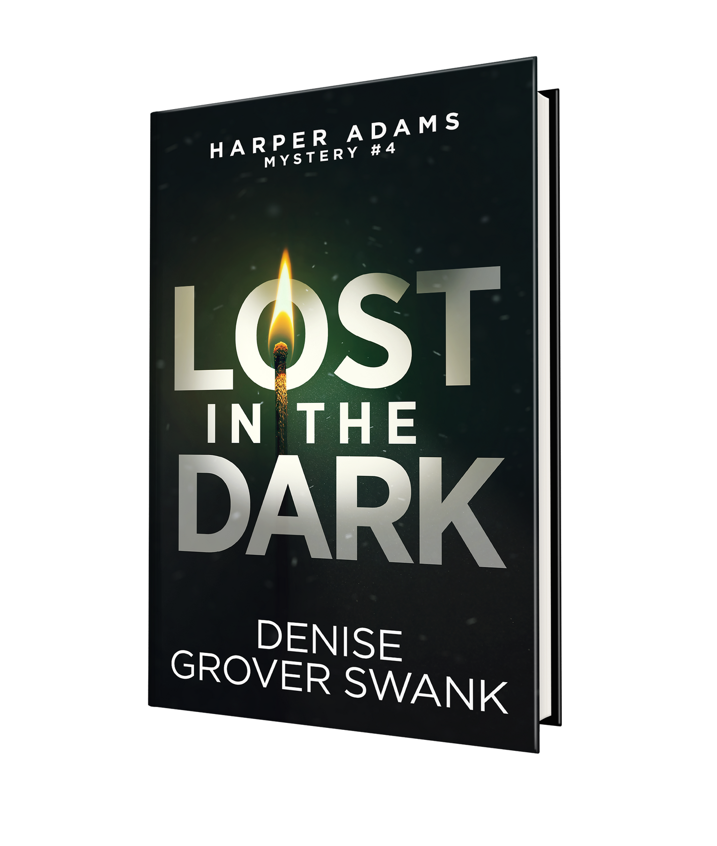 Lost in the Dark-- Print book