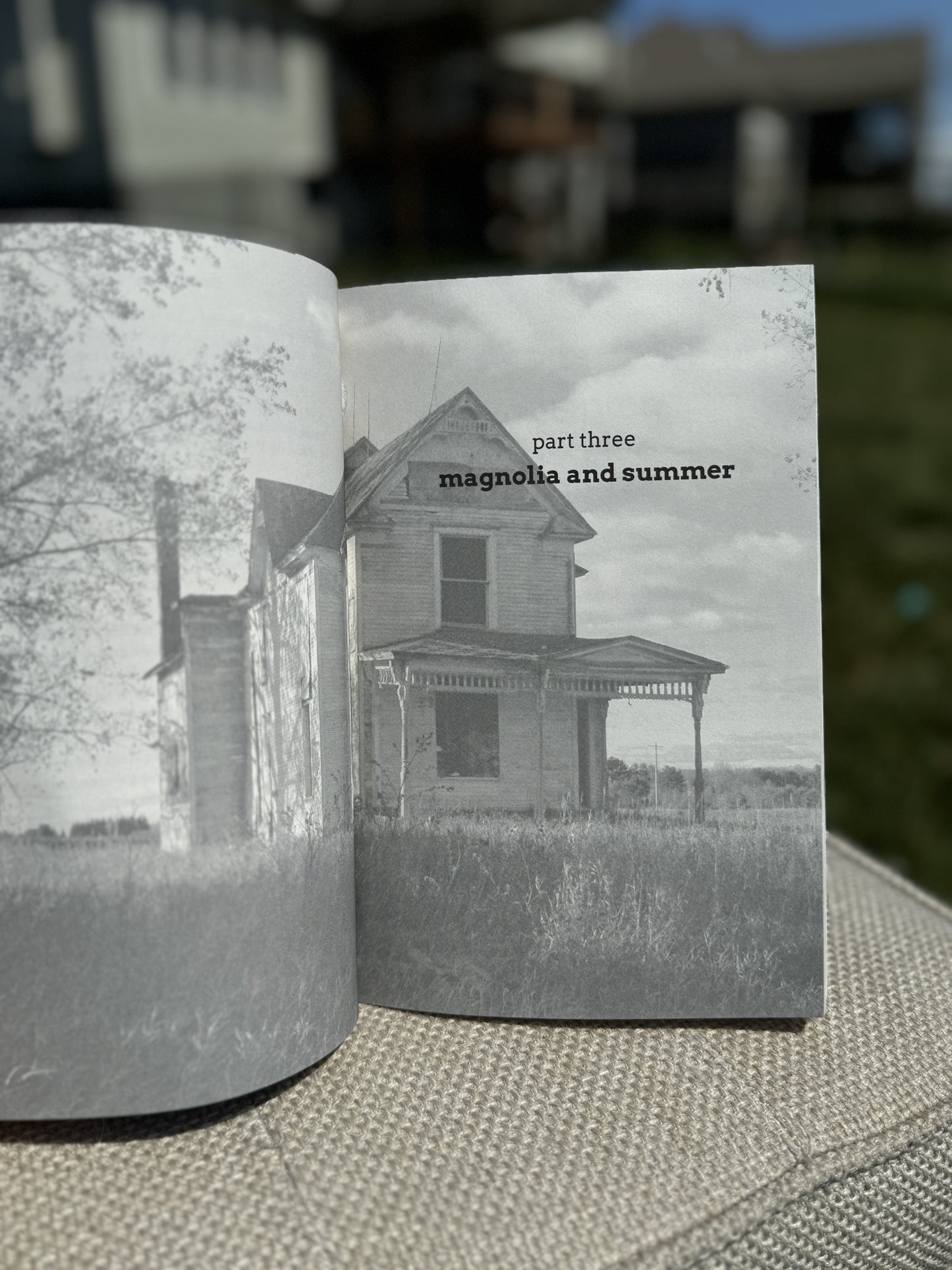 Let Sleeping Dogs Lie - Paperback