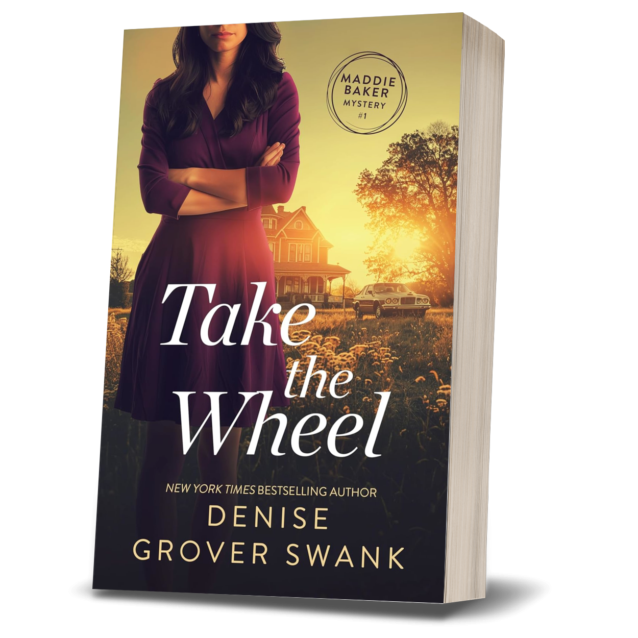 Take the Wheel (previously Blind Bake) - Paperback